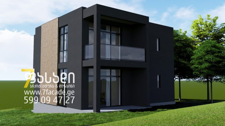 სახლის პროექტი