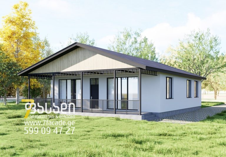 სახლის პროექტი