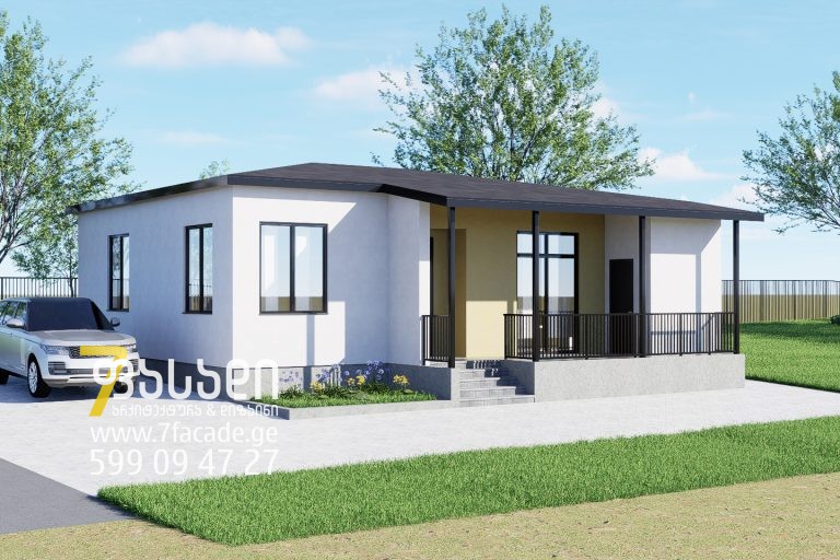 სახლის სპროექტი