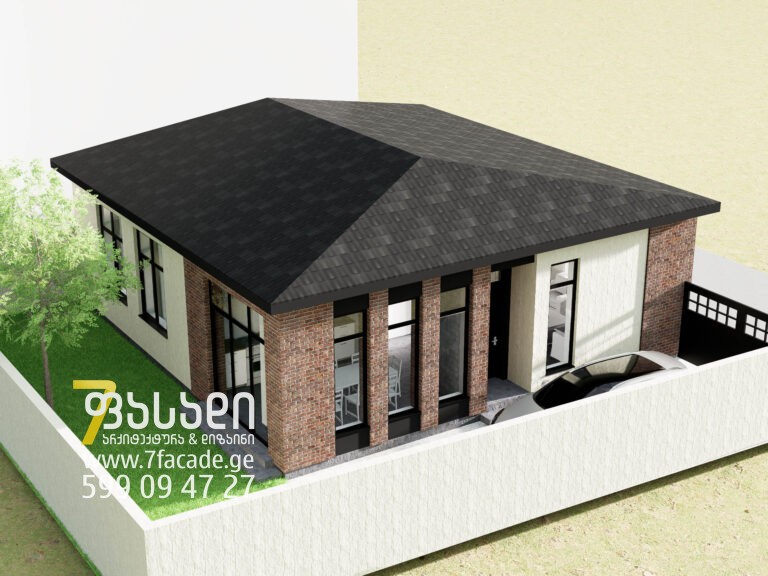 სახლის პროექტი